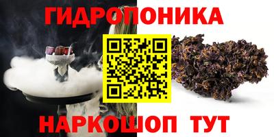 хмурый Тула