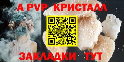 хмурый Тула
