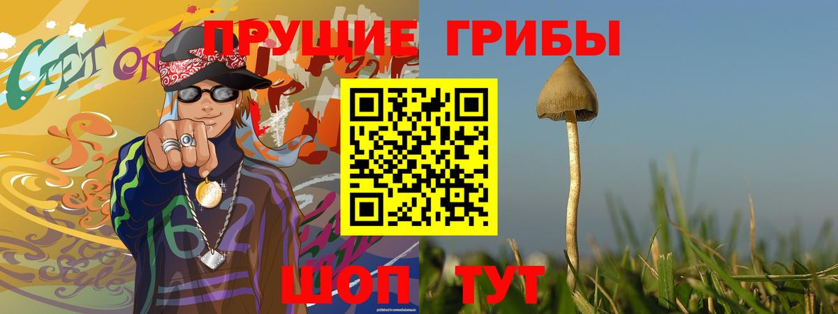 Павлово  Псилоцибиновые грибы мицелий  купить наркоту  Вход с VPN  Псилоцибиновые грибы прущие грибы 